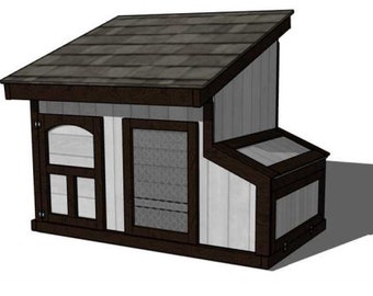 Multi-Purpose Chicken Coop Designs: Your Chickens' Haven or a Dog's Delight