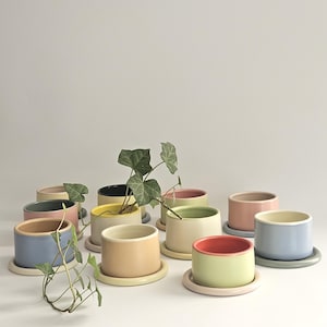 May include: A collection of small, cylindrical ceramic planters in various pastel and muted colors, each paired with a matching or contrasting circular saucer. A small green ivy plant is growing out of one of the central yellow planters.
