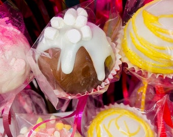 Gourmet Hot Cocoa Cake Pops Milk Chocolate With Tons of Marshmallow Yummy Goodness!