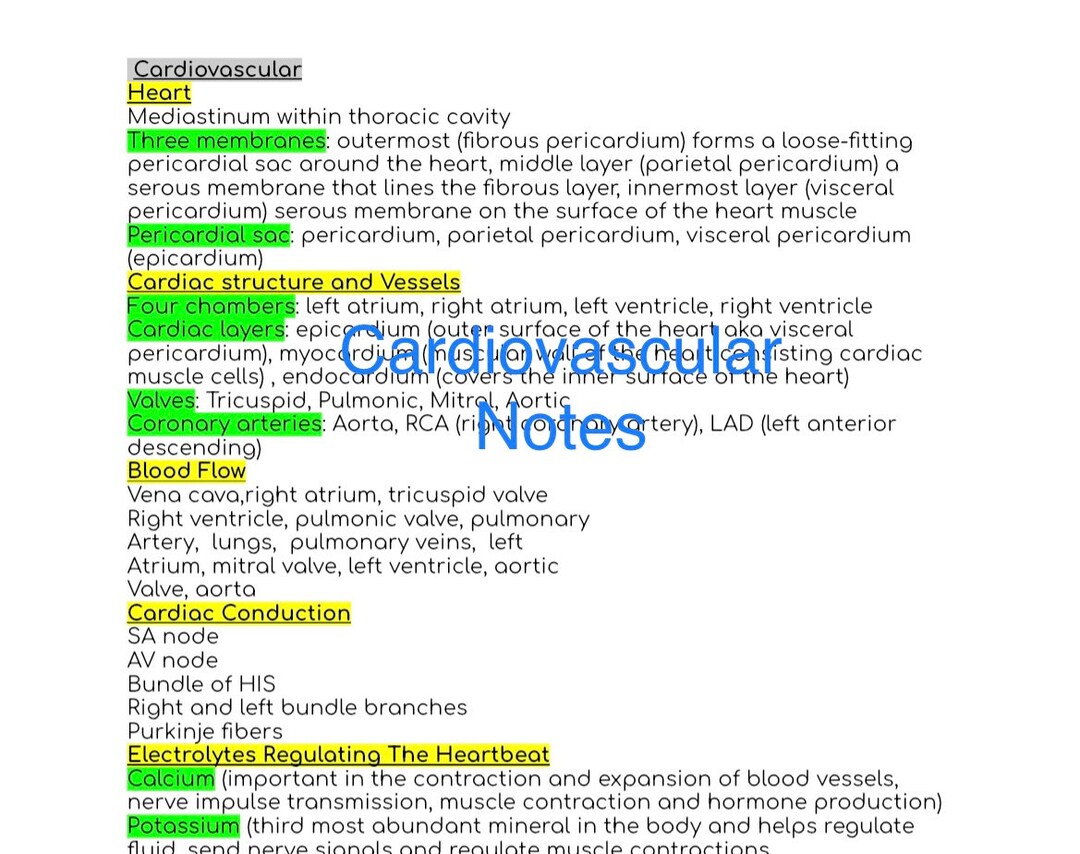 Cardiovascular Notes - Etsy