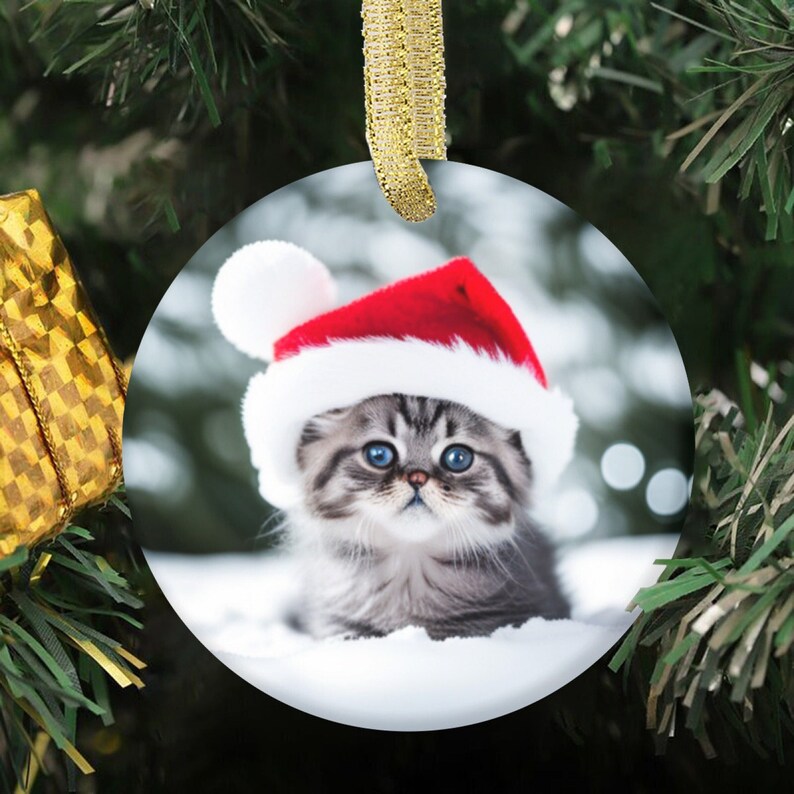 Choose From a Variety of Persian Cat Ornament Persian Kitten Etsy