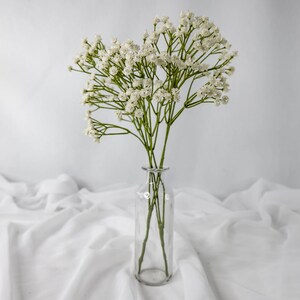 White Babys Breath Fake Gypsophila Flowers Faux Babysbreath for Wedding  Table Centerpieces Flower Arrangement DIY Flowers HZMTX -  Norway