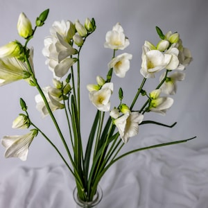 May include: A bouquet of white freesia flowers in a clear glass vase. The flowers have delicate, ruffled petals and yellow centers. Green stems and buds add contrast. The arrangement is set against a soft, white background.