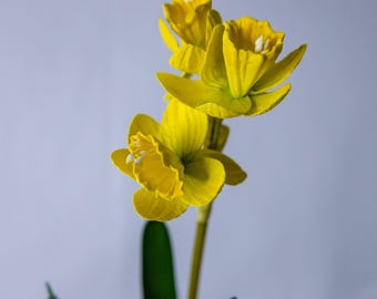 Narcis jonquilles, nep-narcisstelen, realistische kunst narcissen voor bruidsboeketten en woondecoratie