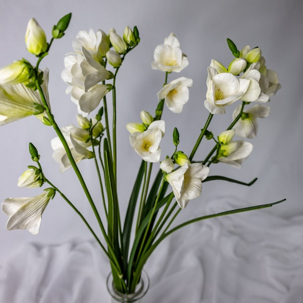 Freesia White Real Touch - Realistic Artificial Flowers