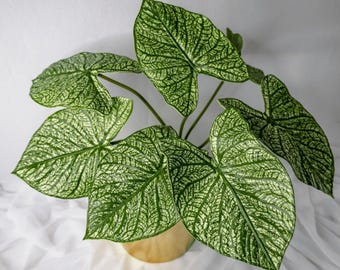 Green Caladium Leaf Stem, Real Touch Artificial Caladium, Faux Tropical Greenery