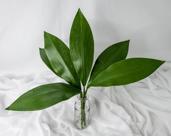 Small Pointed Calla Leaf 12 Pack, Faux Calla Leaves, Real Touch Artificial Greenery for Floral Designs