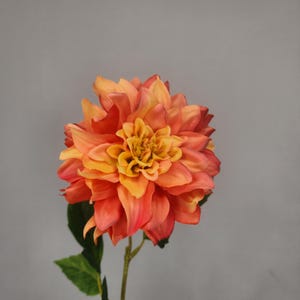 Rust Dahlia Silk Touch- Realistic Artificial Flowers