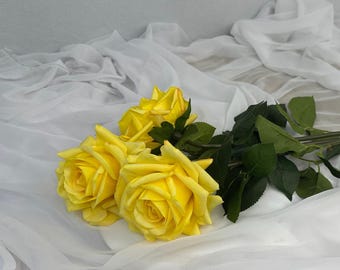 Pode incluir: Três rosas amarelas com caules e folhas verdes repousam sobre um tecido branco e fluido. As rosas estão em plena floração, mostrando suas vibrantes pétalas amarelas. O fundo é uma superfície macia, branca e texturizada.