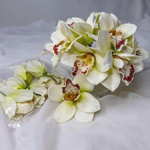 White/Burgundy Cymbidium Flowerhead ( 6 Pack ) - Realistic Artificial Flowers