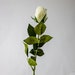 Bridal White Real Touch Open Bud Rose -realistic Artificial Flowers - Etsy