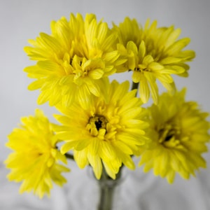 Yellow Gerbera  -Realistic Artificial Flowers