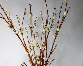 Willow Branch Greenery Stem, Faux Willow Foliage, Realistic Artificial Greenery Decor