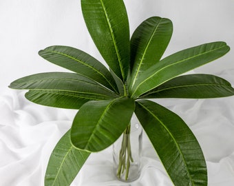 Rounded Frangipani Leaves - 12 Pack of Real Touch Artificial Tropical Leaves for Weddings, Bouquets, Home Decor & Craft