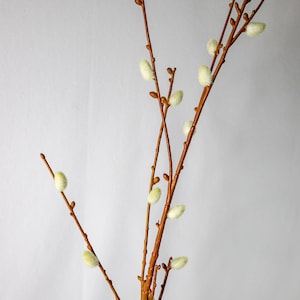 Willow Branch-(6 Pack)- Realistic Artificial Flowers