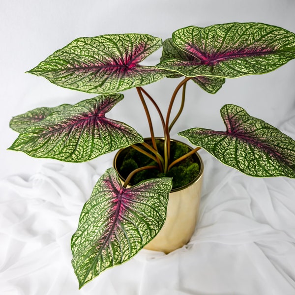 Moss Green Caladium Leaf - Realistic Artificial Flowers and Greenery