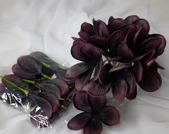Midnight Frangipani Flower Heads 6 Pack – Real Touch Plumeria, Artificial Tropical Flowers for Beach Weddings, Cakes & Crafts