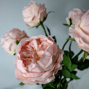 Pink David Austin Soft Touch Open Bloom Rose  -Realistic Artificial Flowers