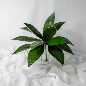 Hojas de frangipani puntiagudas (paquete de 12): flores artificiales y vegetación realista