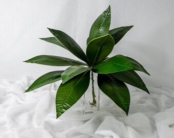 Pointed Frangipani Leaf (12 Pack)  - Realistic Artificial Flowers and Greenery