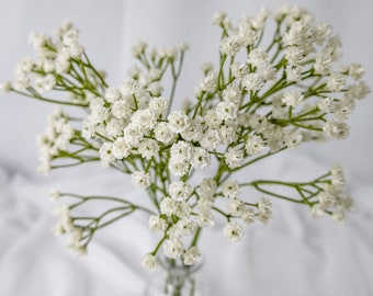 Baby's Breath (Gypsophila) - Realistic Artificial Flowers