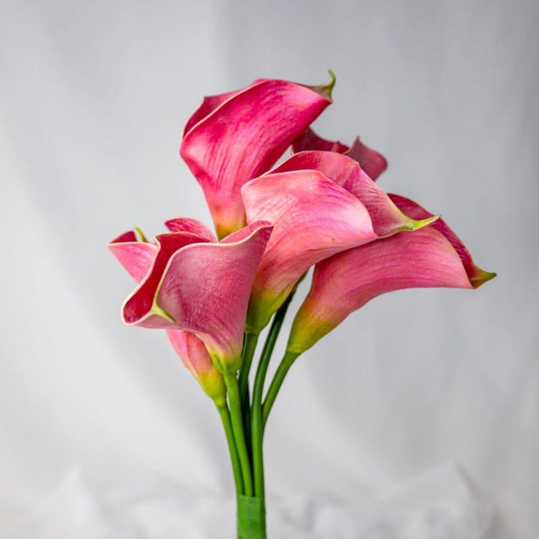 Fuchsia Mini Calla Lily 6 Pack,faux Calla Lilies, Real Touch Artificial ...