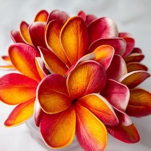 Tropical Frangipani Flowerhead (6 Pack)- Realistic Artificial Flowers