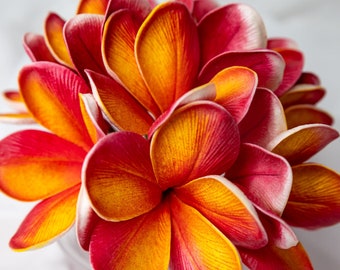 Tropical Frangipani Flowerhead (6 Pack) - Realistische künstliche Blumen