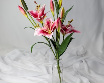 Lilium 'tiny Ink' | Compact Asiatic Lily | Deep Burgundy Blooms | Unique  Cut Flower | USDA Zones 39 | Spring 2026 Preorder - Etsy Canada