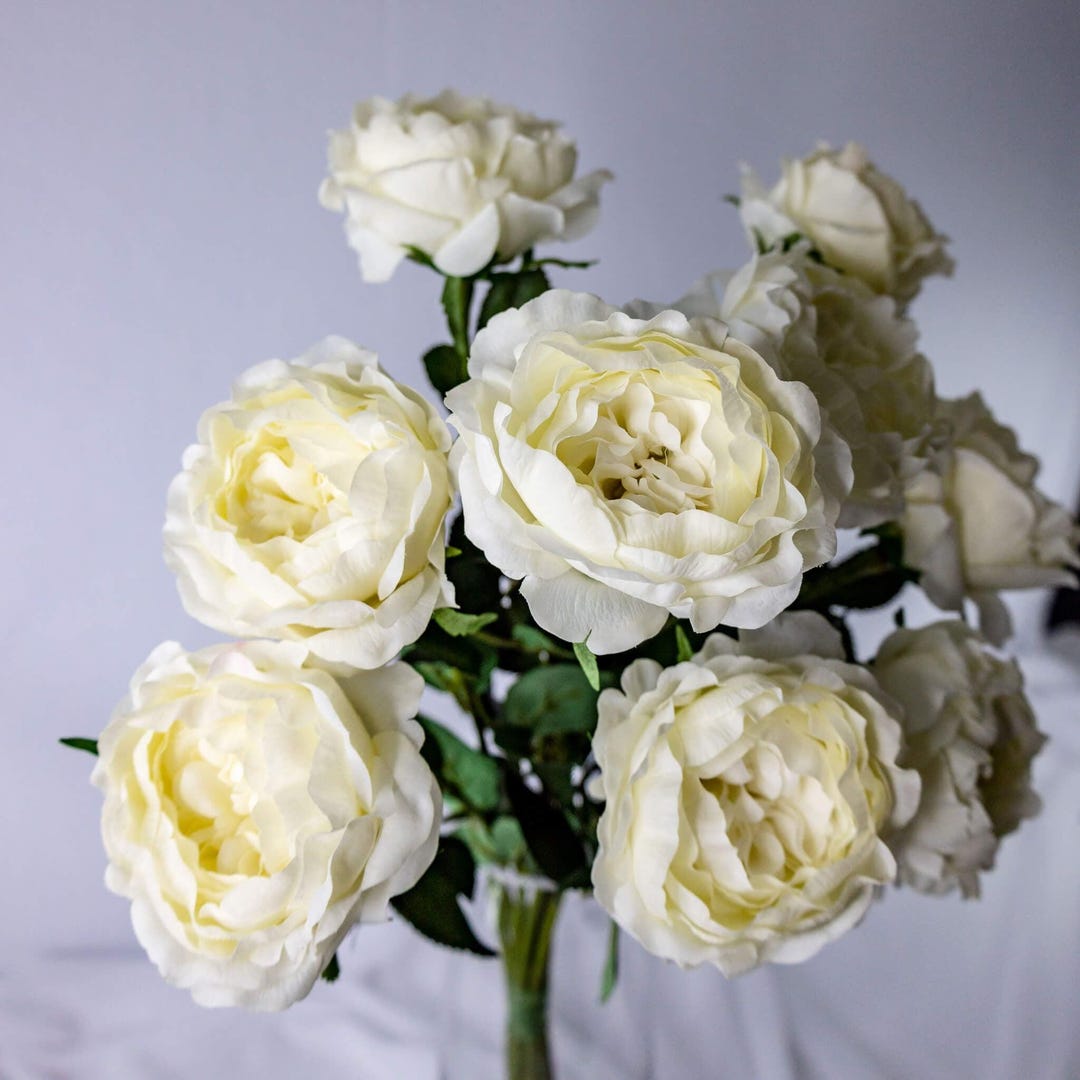 Bridal White David Austin Rose 67cm, Real Touch Half Bloom Wedding Rose ...