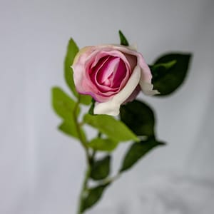 Blush Pink Real Touch Open Bud Rose -Realistic Artificial Flowers
