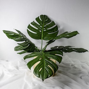 Large Monstera Leaf 56cm Stem, Real Touch Artificial Tropical Leaf, Faux Greenery