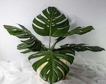 Large Monstera Leaf 56cm Stem, Real Touch Artificial Tropical Leaf, Faux Greenery