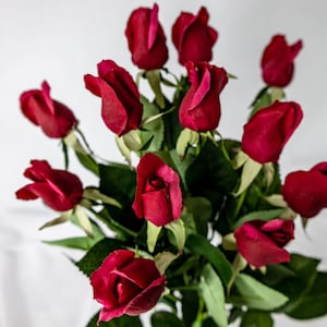 Peut inclure: Un bouquet de roses rouge foncé avec des feuilles vertes. Les roses sont disposées dans un vase et les tiges sont visibles.