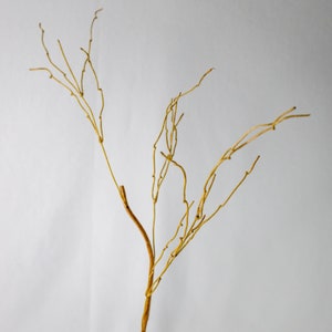 Dodo Branch Twigs (6 Pack) - Realistic Artificial Flowers and Greenery