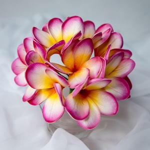 Sunset Pink Frangipani Flower Heads 6 Pack, Faux Plumeria Flowers, Realistic Artificial Tropical Flowers