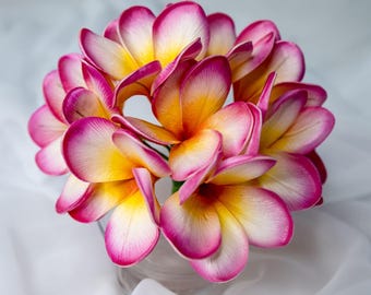 Sunset Pink Frangipani Flower Heads 6 Pack, Faux Plumeria Flowers, Realistic Artificial Tropical Flowers