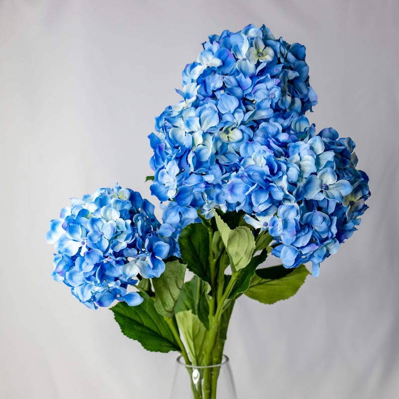 artificial Blue Hydrangea Soft Touch in glass vase"Realistic artificial blue hydrangea flowers with soft touch petals, displayed in a clear vase against a neutral background, ideal for home decor or events