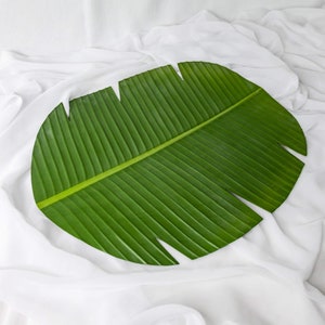 Banana Leaf Placemat - (6 Pack) - Realistic Artificial Flowers and Greenery