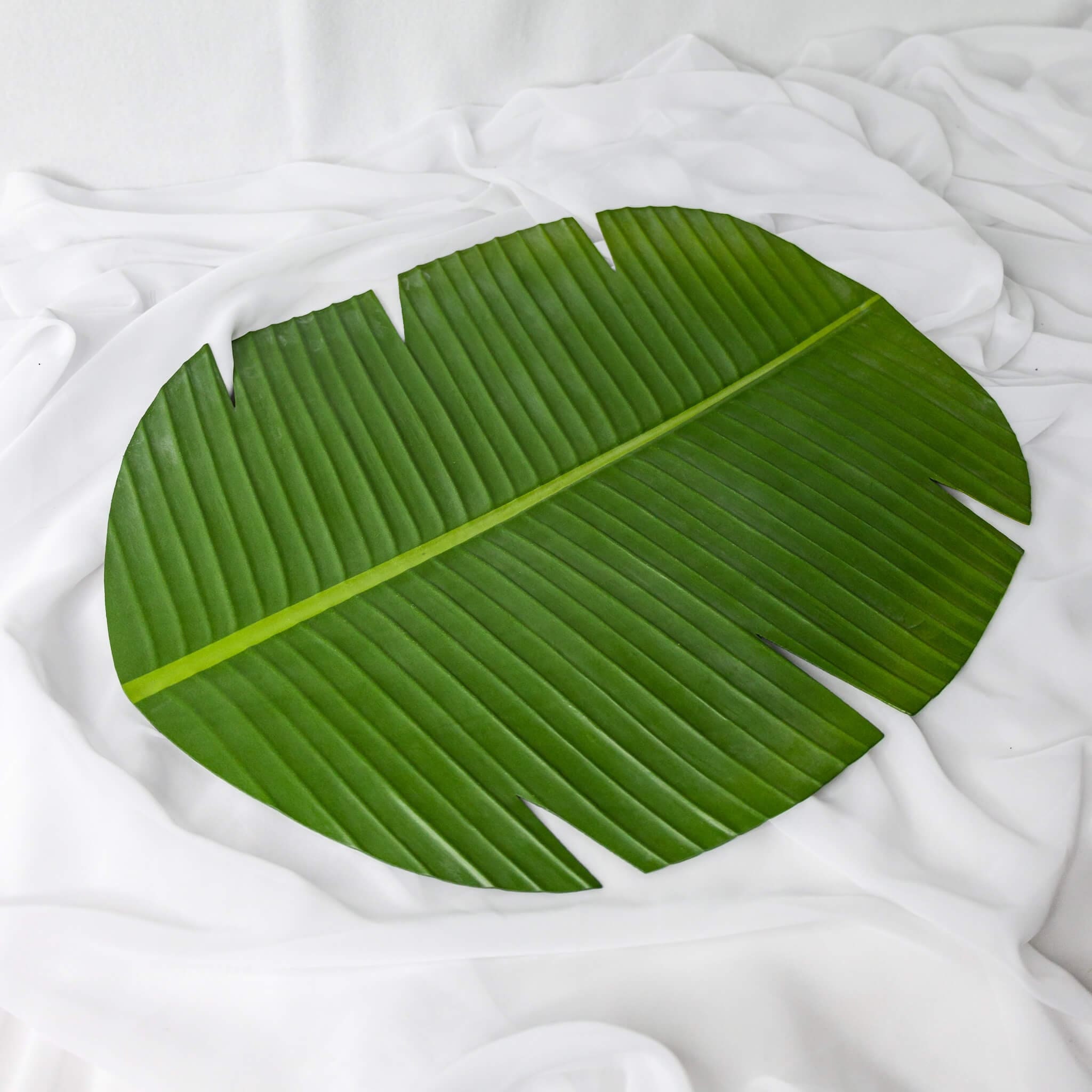 Banana Leaf Placemat - (6 Pack) - Realistic Artificial Flowers and Greenery