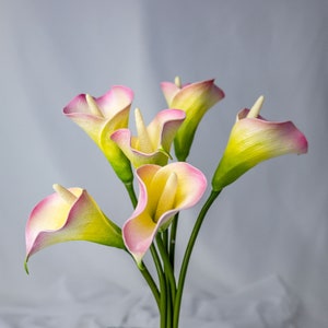Geel/roze mini-calla-lelie (6 stuks) - realistische kunstbloemen
