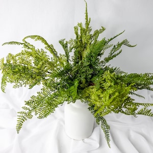 Herringbone Fern  (3 Pack) - Realistic Artificial Flowers and Greenery