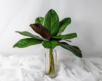 Large Magnolia Leaves 12 Pack, Real Touch Faux Greenery Stems, Artificial Magnolia Leaf for Bouquets and Event Decor
