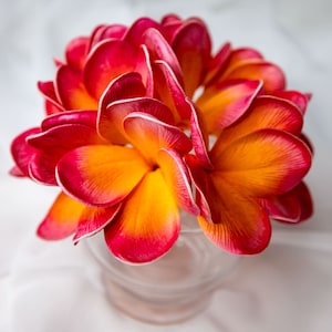 Frangipani de California (paquete de 6) - Flores artificiales realistas