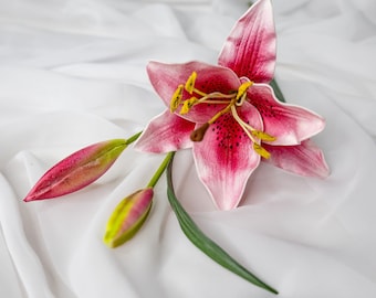 Lilium♡ Lily_Lilium_November_Rain_002_