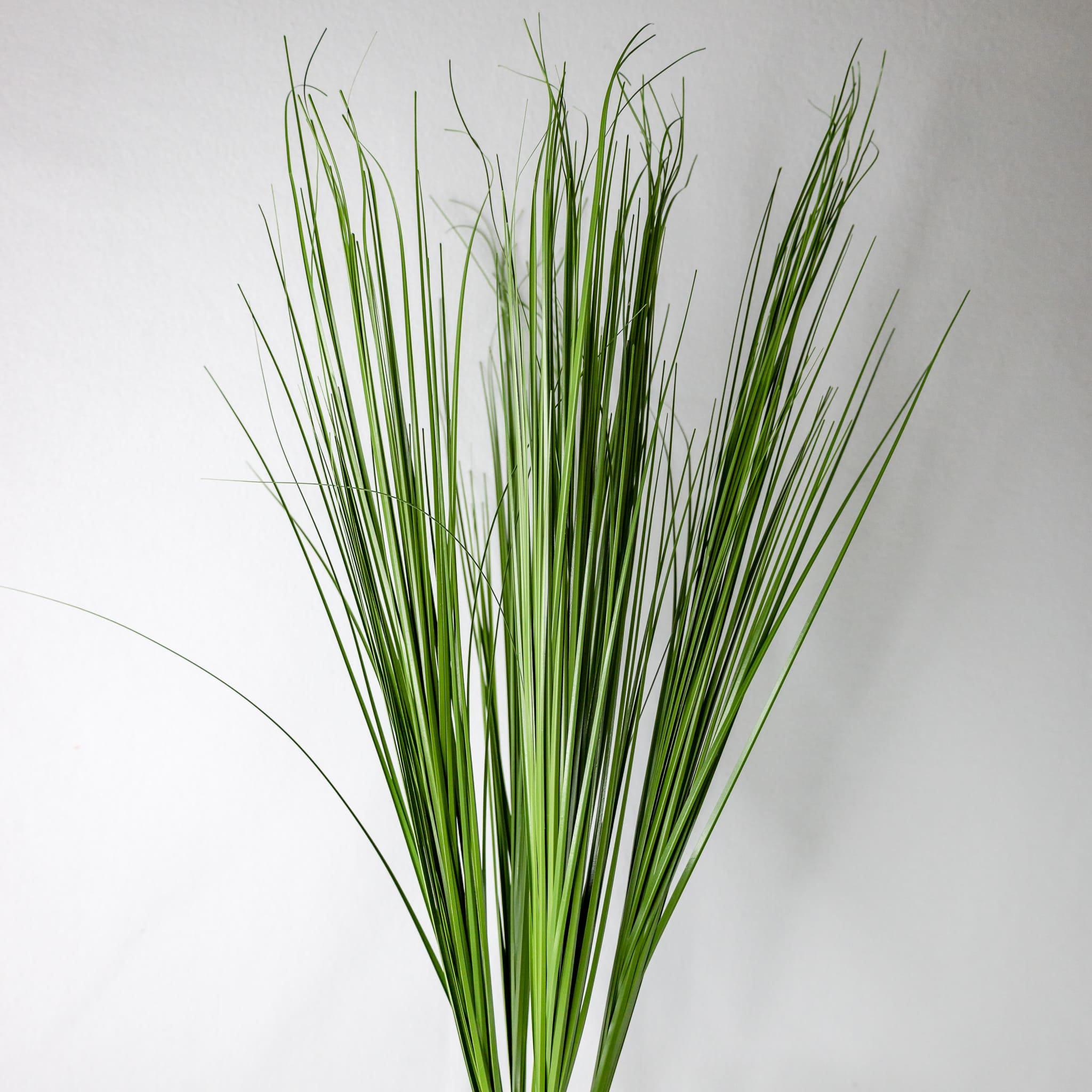 Künstliche Graspflanze Mit 16 Blüten – 61 Cm Hoch, Realistisches Zwiebelgras Für Wohnung, Büro & Deko