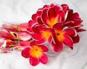 Passion Frangipani Bltenkpfe 6er-Pack, knstliche Plumeria-Blten,  realistische knstliche tropische Blten - Etsy sterreich