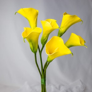 Lirio de cala pequeño amarillo brillante (paquete de 6) - Flores artificiales realistas