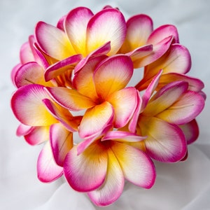 Frangipani rosa atardecer (paquete de 6) - Flores artificiales realistas