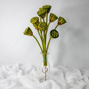 Lotus Pod - (paquete de 6) Flores artificiales y vegetación realistas